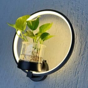 Applique Murale Plante photo review