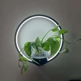 Applique Murale Plante photo review