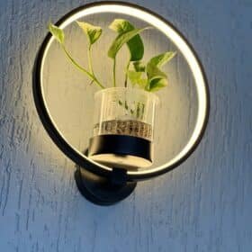 Applique Murale Plante photo review