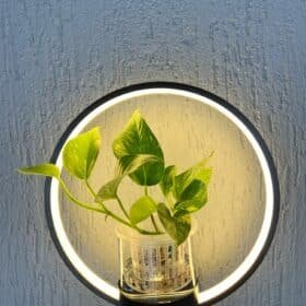 Applique Murale Plante photo review