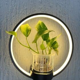 Applique Murale Plante photo review
