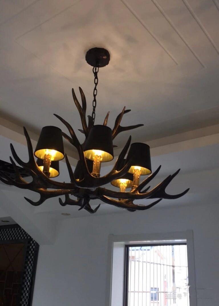 Lustre Bois De Cerf photo review